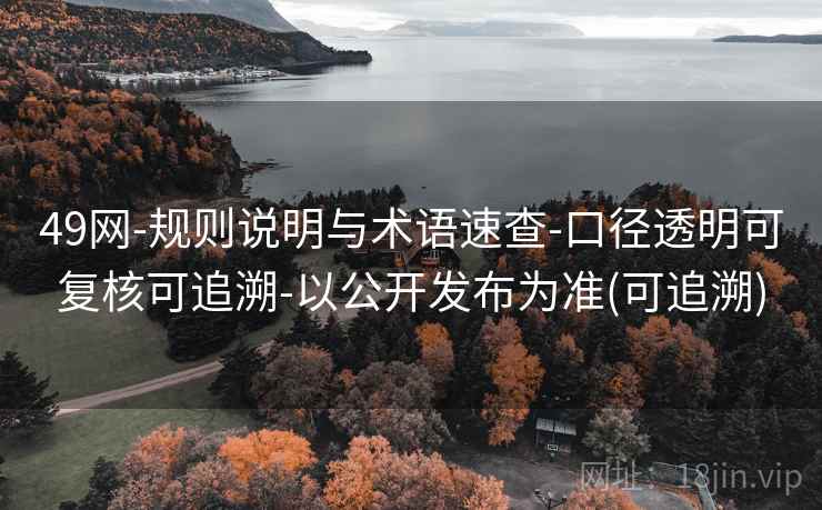 49网-规则说明与术语速查-口径透明可复核可追溯-以公开发布为准(可追溯)